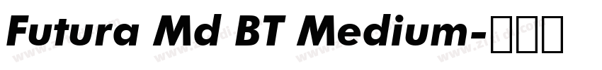 Futura Md BT Medium字体转换 Futura Md BT Medium字体转换